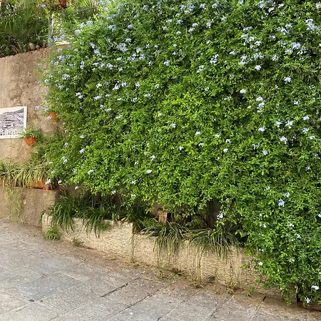 Casa Cotone 9 Πανσιόν